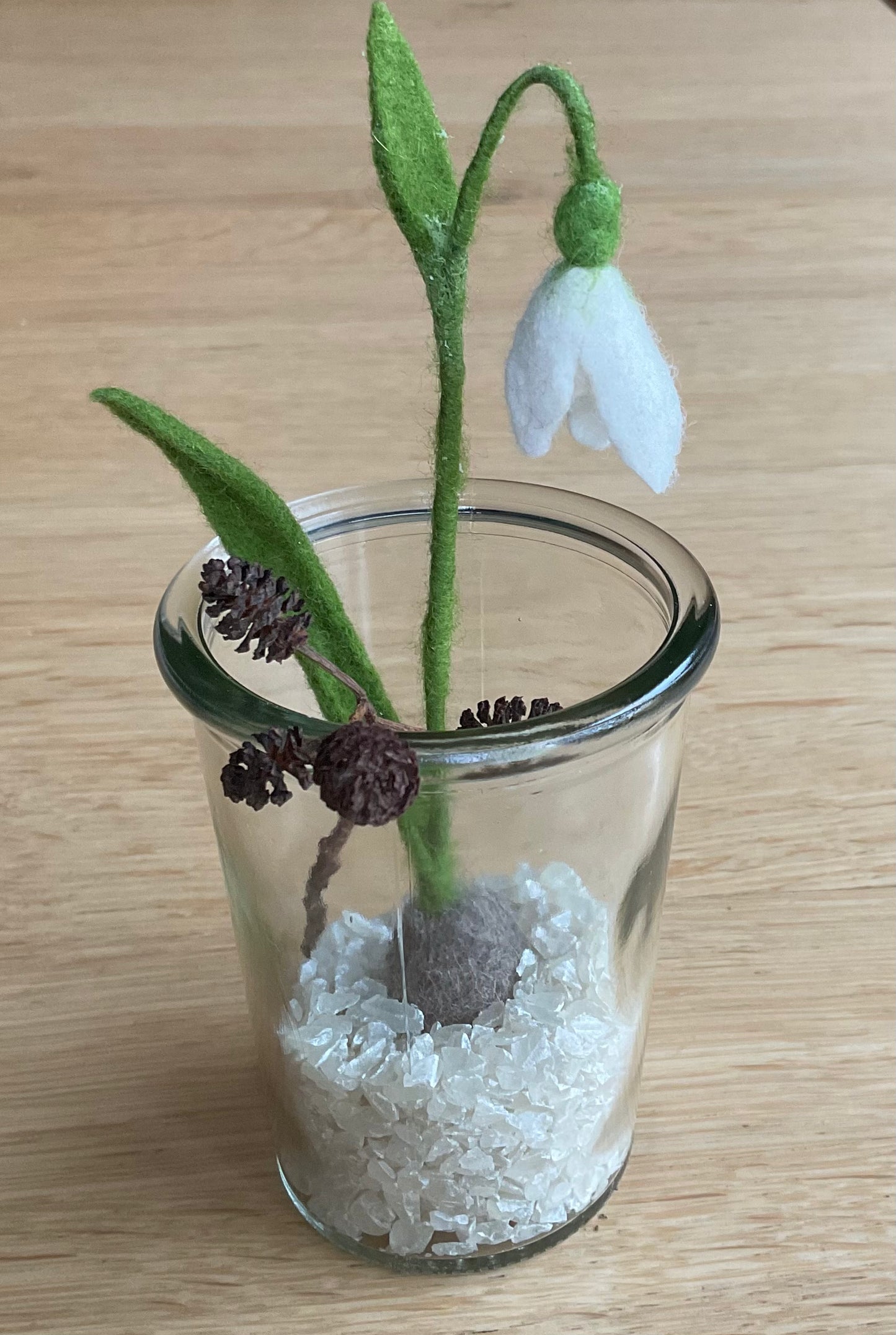 Schneeglöckchen