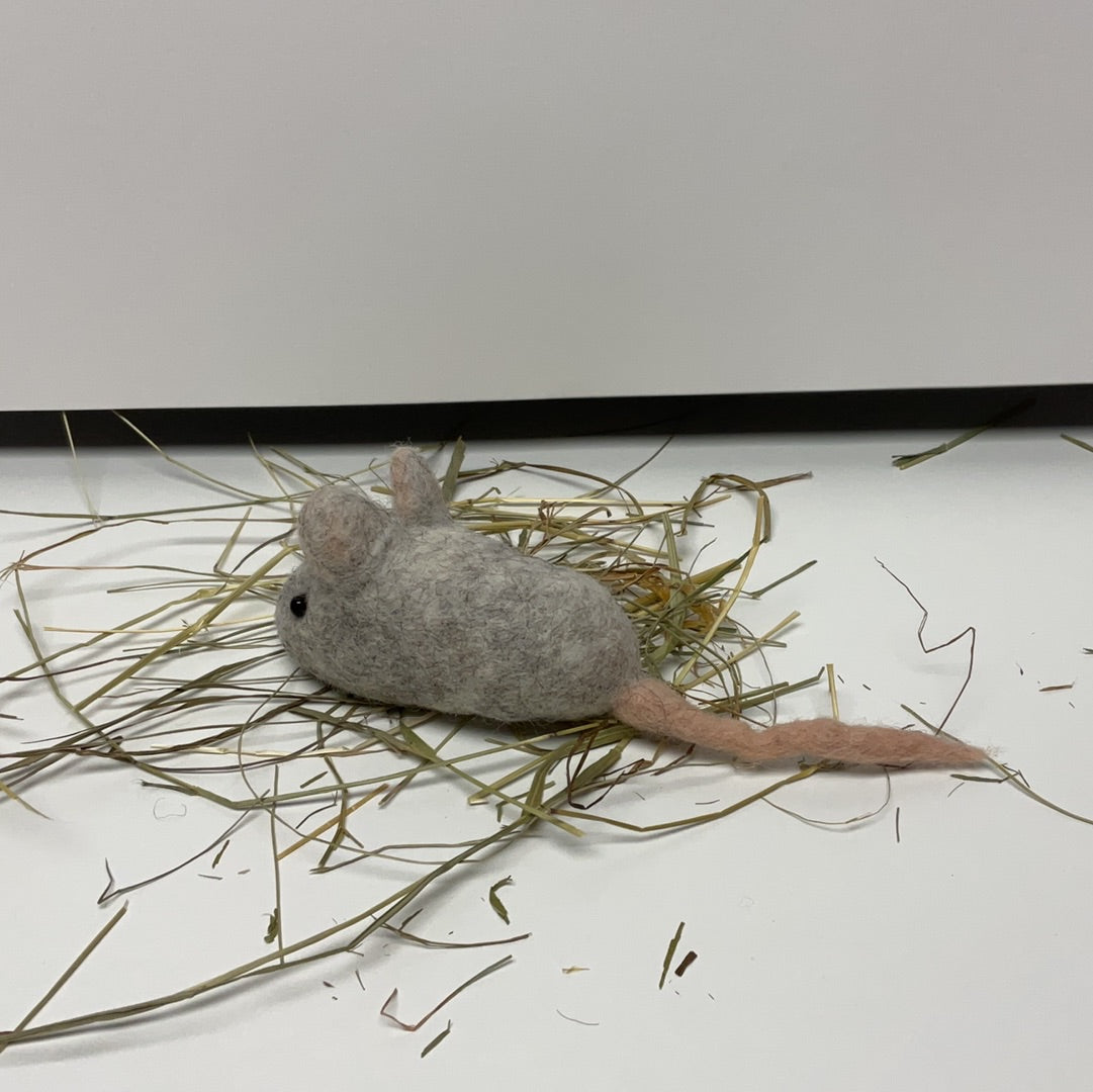 Mäuschen weißgrau