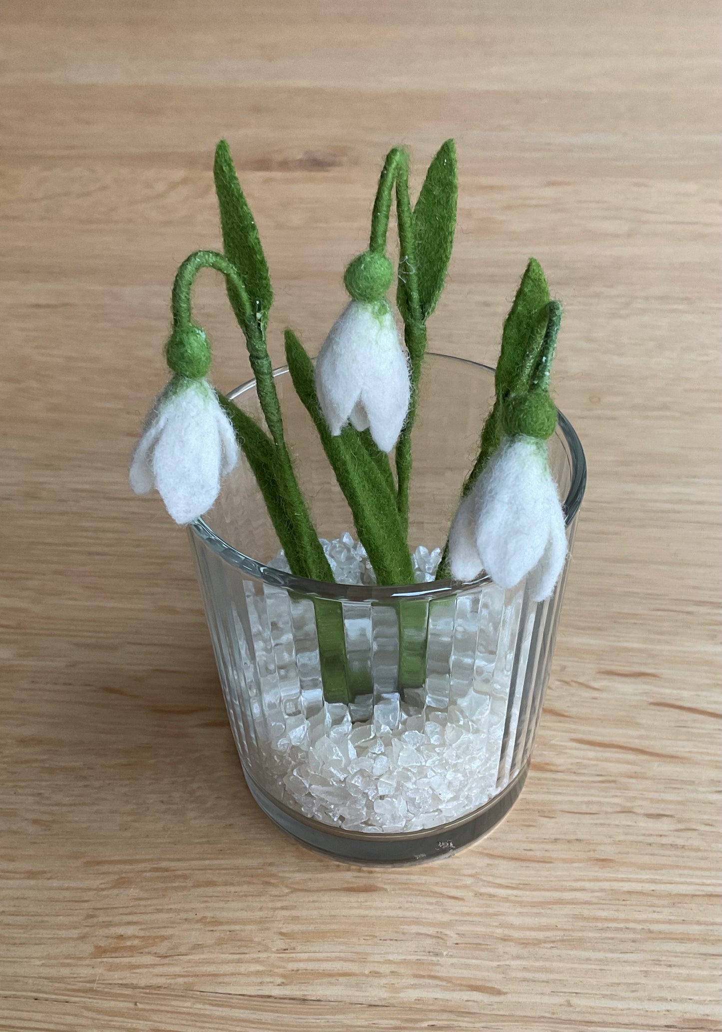 Schneeglöckchen